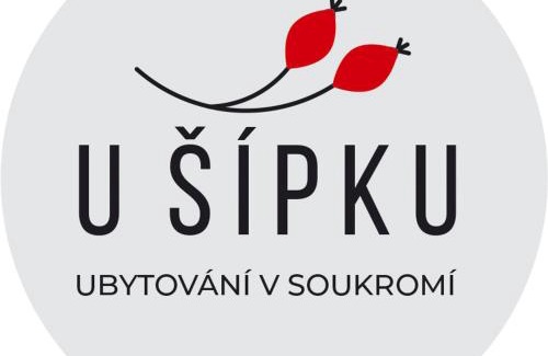 Krasna Lipa Haus | Dům U Šípku
