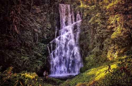 Sukasada Hotel | D'kailash Retreat