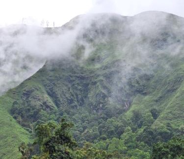 Kecamatan Masbagik Bed & Breakfast | D' Rinjani View Bungalow