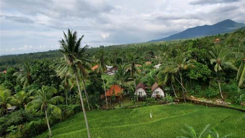 Sukasada Haus | Damuh Pertivi, River and Rice Fields View