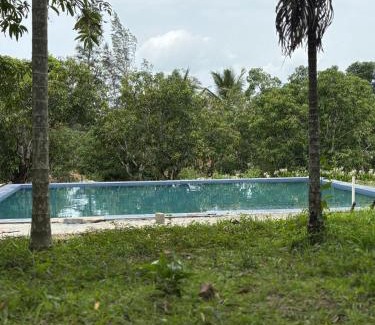 Haliyal Haus | Dandeli Jungle Villa Resort