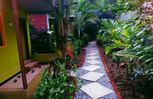 Supa Haus | Dandeli lemon tree jungle stay