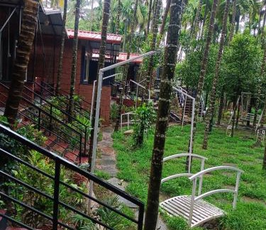 Supa Haus | Dandeli palm tree cottages
