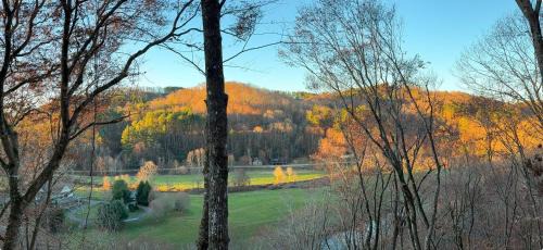 Boone Haus | Daniel Boone Lodge