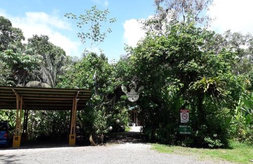 Palma Kabine | Danta Corcovado Lodge