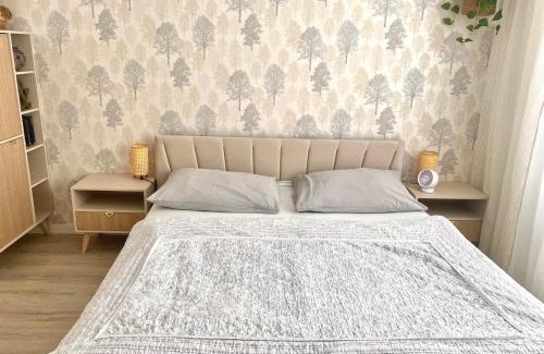 Samorin Wohnung | Danube12