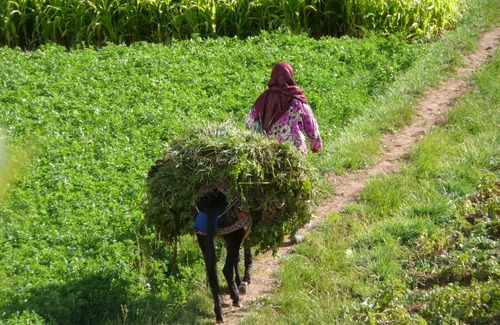 Tabant Haus | Dar Ait Bouguemez