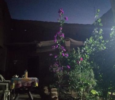 M'Hamid El Ghizlane Wohnung | Dar itran