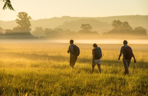 Bad Sobernheim Hotel | Das Landhaus - by BollAnts