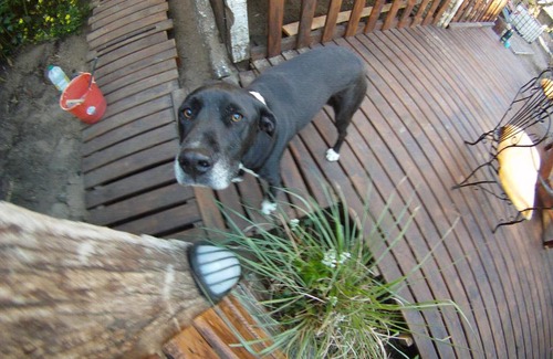 Villa Gesell Kabine | Del Bosque Surf Ranch