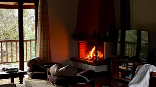 Distomo-Arachova-Antikyra Skihütte | Del Mountain Chalet Arachova