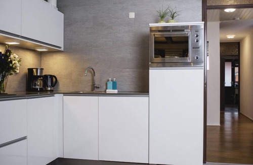 Municipality of Delfzijl Wohnung | Delfzijl by Interhome