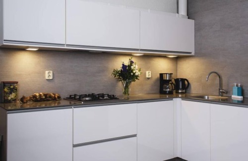 Municipality of Delfzijl Wohnung | Delfzijl by Interhome