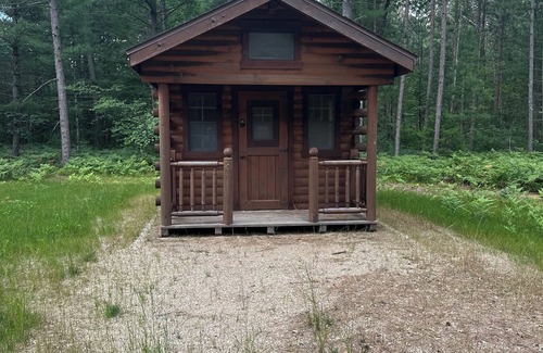 Big Rapids Kabine | Delightful cabin in Big Rapids for a cozy getaway