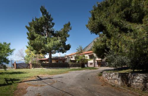 Delphi Villa | delphi villa Terracotta