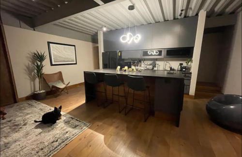 Queretaro Wohnung | Depa Teo