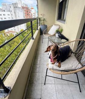 Mar del Plata Wohnung | Departamento Ana, hermoso y excelente ubicación!