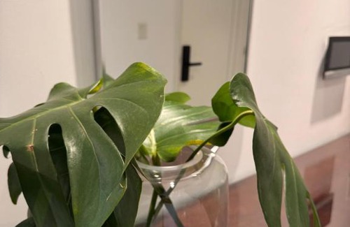 Posadas Wohnung | Departamento de 150 m2 -Second Home- en Edificio Marwa, Posadas