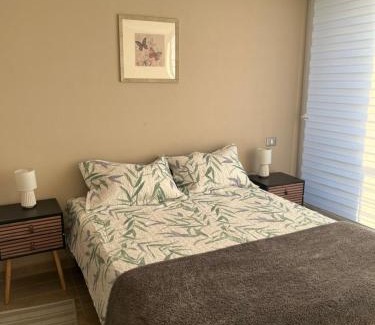 Vina del Mar Wohnung | Departamento Viña del Mar