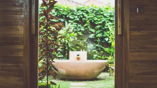 Tejakula Resort | Desa Saya Eco Luxury Resort & Spa