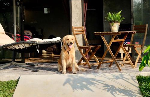 Thep Kasattri Haus | Destination39