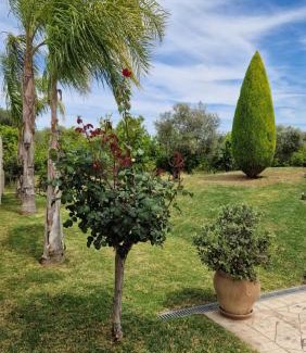 Aigialeia Haus | Dimitris Villa