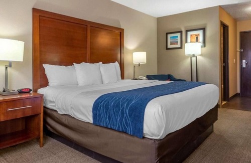 Albuquerque Hotel | Discover Albuquerque from a Warm Hotel Room Base Near Airport