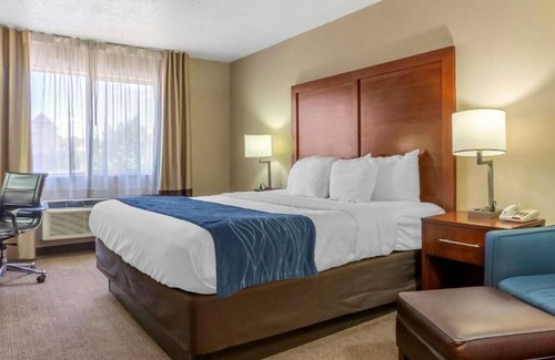 Albuquerque Hotel | Discover Albuquerque from a Warm Hotel Room Base Near Airport