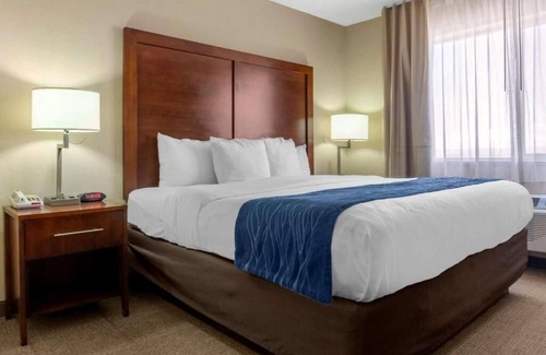 Albuquerque Hotel | Discover Albuquerque from a Warm Hotel Room Base Near Airport