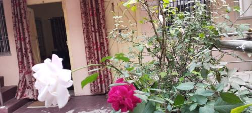 Puri Wohnung | Divine view - 1 bhk AC - Swarna Bhavan