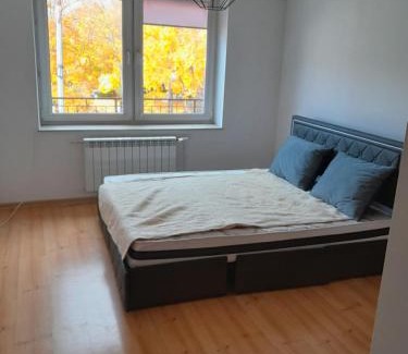 Dobczyce Wohnung | Dobczyce Centrum mieszkanie 105 m2