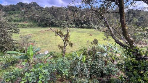 Kalakandur Haus | Doddakallu Betta Homestay Coorg
