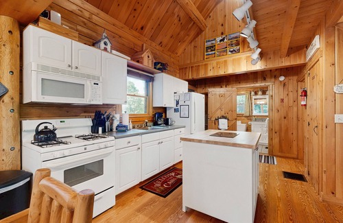 Greenville Haus | Dog-friendly lakefront home with deck, grill, WiFi, shared dock & water access