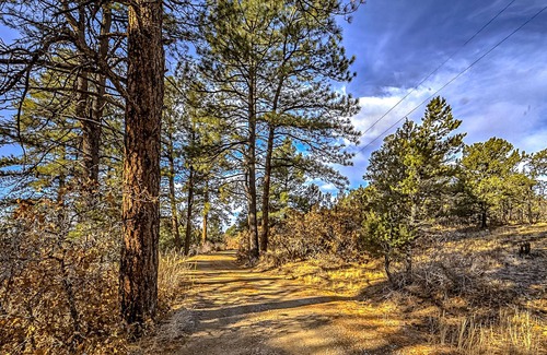 Durango - Purgatory Haus | Dog-friendly mountain home with a wood-burning fireplace, patio, & central AC