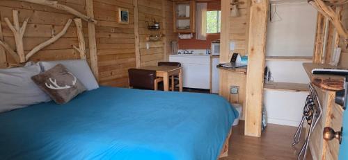 Cedaredge Kabine | Dog Friendly Room with a Queen Bed and Kitchenette at the Cedaredge Lodge