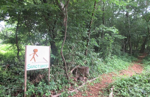 Kitasaku-gun Haus | DogrunCafe&Resorts JENNIE West-Karuizawa "Max" Perfect for couples and solo travelers! Pet Friendly Hotels