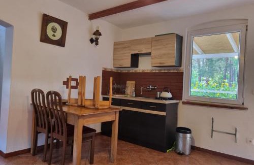 Nowa Sol Haus | Dom wakacyjny nad jeziorem w Jodłowie II