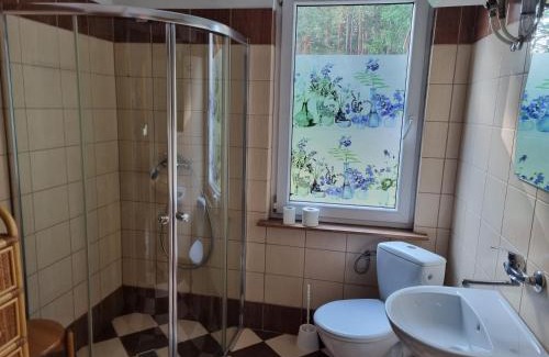 Nowa Sol Haus | Dom wakacyjny nad jeziorem w Jodłowie II