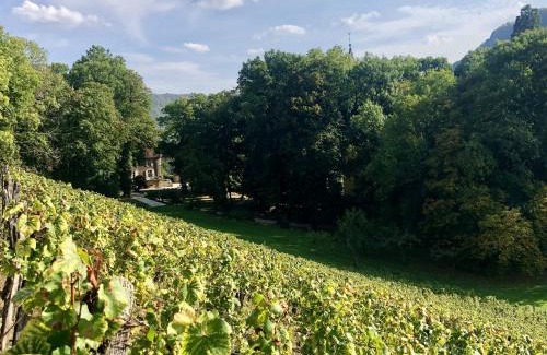 Nevy-sur-Seille Haus | Domaine GUIET