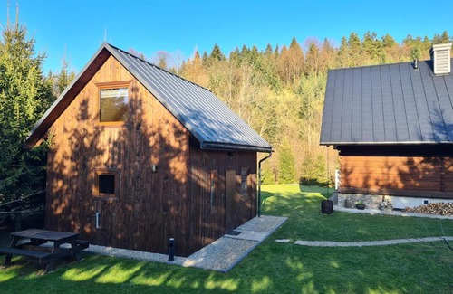 Baligrod Skihütte | Domek w Bieszczadach Mchawa 144