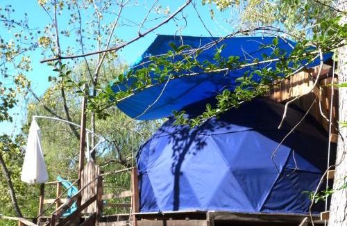 Partido de Tigre Haus | Domo de la Selva Tigre