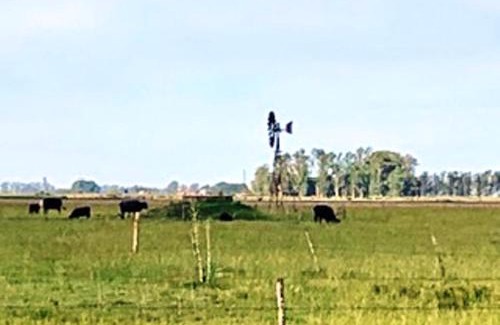 Partido de Carmen de Areco Haus | Don Luis Bueno