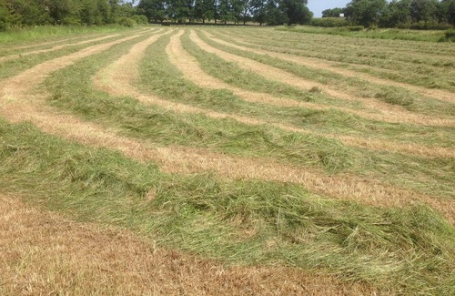 Malton Hütte | DOODALE COTTAGE - umgebaute Scheune mit Hochlandvieh Erfahrung inklusive