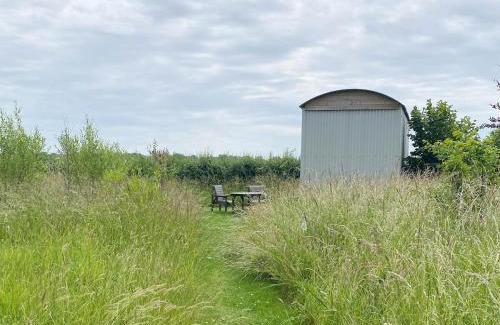 Wedmore Skihütte | Doris