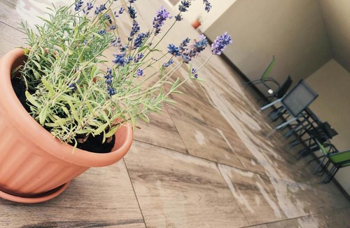 Kisar Haus | Dorka Porta Vendégház