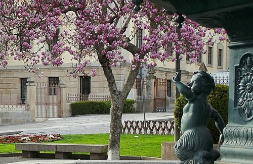 Vila Real Haus | Douro - A casinha da Ana