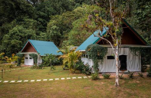 Drake Bay Sonstige | Drake Bay River View