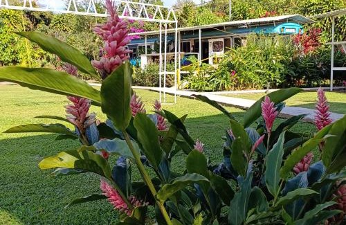 Poas Volcano National Park Sonstige | Dreamcatcher House Bus Experience 2