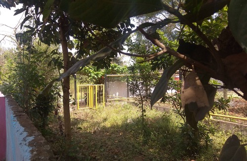 Kushalnagar Haus | Träume Rivar Blick nach Hause bleiben Coorg