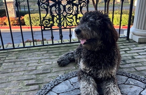 Sandy Springs Haus | Dunwoody Dreamz…in Sandy Springs